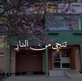 #ابن_عثيمين #الصدقة #حديث #حديث_نبوي #اكسبلور 