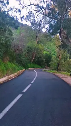 #سكيكدة_الزينة_و_حنا_فيك_تربينا #سكيكدة_الجزائر🇩🇿😍♥️📷😍 #سكيكدة21 #foryoupage❤️❤️ #طريق الشاطئ الكبير