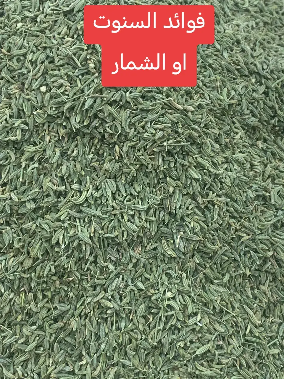 فوائد السنوت (الشمر) تشمل تحسين الهضم، تخفيف الغازات والانتفاخ، تعزيز المناعة، المساعدة في تنظيم سكر الدم وضغط الدم، تقوية صحة العظام، تحسين النوم، وتخفيف أعراض الربو والسعال. كما يُعتقد أنه يساعد في حرق الدهون وفقدان الوزن، وينظم الدورة الشهرية، ويُستخدم كمهدئ طبيعي.  فوائد السنوت (الشمر) الصحية الجهاز الهضمي: يعمل على طرد الغازات وتخفيف الانتفاخ وعسر الهضم.  يساهم في تحسين حركة الأمعاء وتقليل الإمساك.  يعمل كمهدئ طبيعي للمعدة ويخفف من التقلصات المعوية.  الجهاز التنفسي: مفيد لاحتقان الجهاز التنفسي، ويعالج السعال والبلغم، ويساعد في حالات الربو والسعال الديكي.  المناعة والأكسدة: غني بمضادات الأكسدة والفيتامينات (مثل فيتامين ج) التي تقوي المناعة وتمنع الإجهاد التأكسدي.  سكر وضغط الدم: يساعد في خفض مستويات السكر والضغط في الدم.  صحة القلب والأوعية: يمكن أن يحسن صحة القلب والأوعية الدموية.  النوم: شرب الشمر قبل النوم قد يساعد في تحسين جودة النوم والتخلص من الأرق لاحتوائه على المغنيسيوم.  التخسيس وفقدان الوزن: يساعد في حرق الدهون وتحفيز الشعور بالامتلاء، مما قد يساهم في فقدان الوزن.  صحة المرأة: يساعد على تنظيم الدورة الشهرية ويزيد من الخصوبة بسبب احتوائه على الإستروجين.  يخفف من أعراض متلازمة ما قبل الحيض.  فوائد أخرى: يقلل من قلق وتوتر ويقلل من آلام الجسم.  يحفز الشهية ويقوي الذاكرة.  يساهم في تقوية عظام المرأة لاحتوائه على الكالسيوم. #الخميس #عتود 