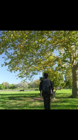 Day 35/365  #365Challenge #DisciplineOverMotivation #GymLife #documentingmylife #fyp 