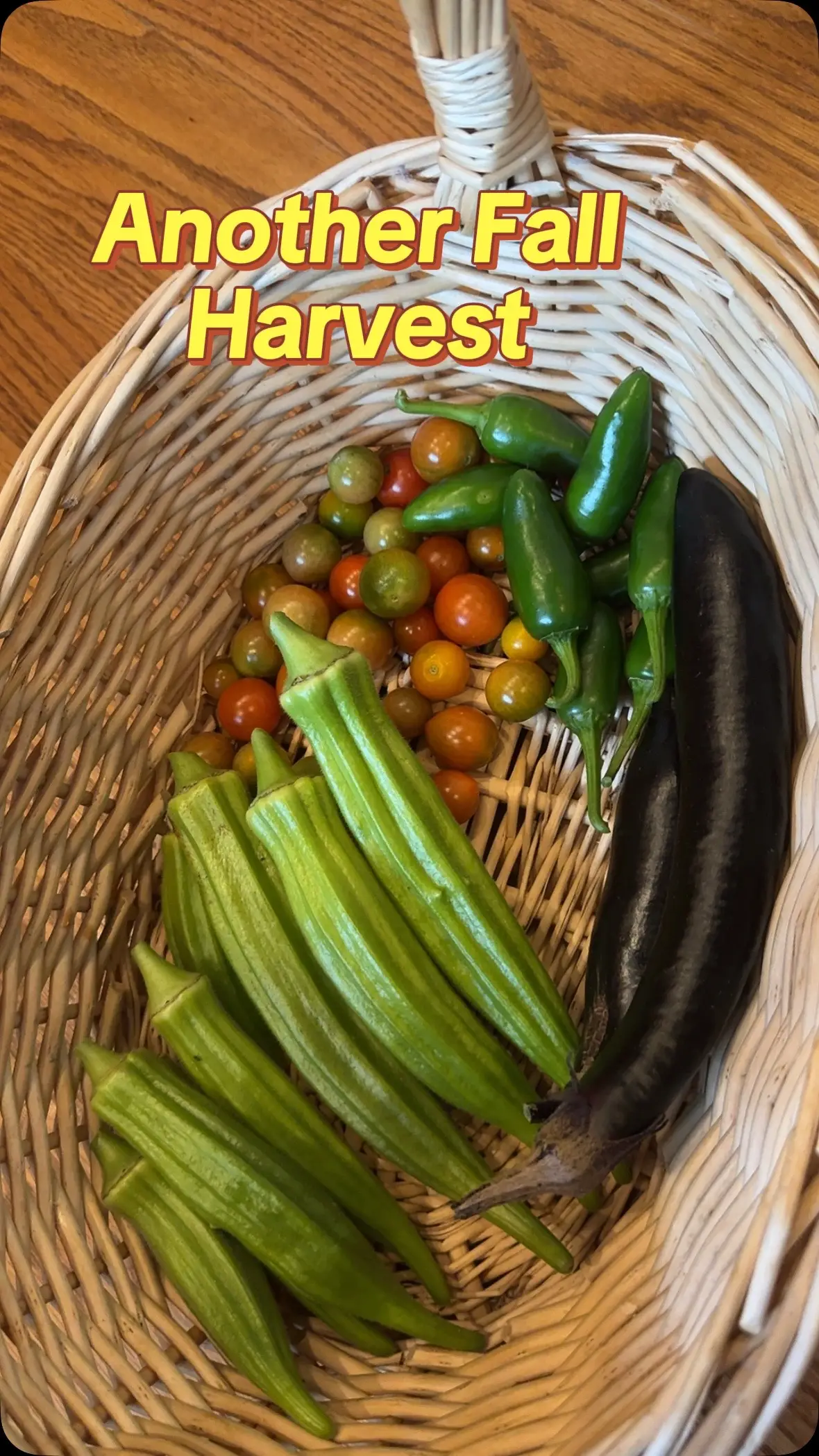 Okra, eggplant, cherry tomatoes and jalapeños #garden #harvest #veggies #fallharvest 