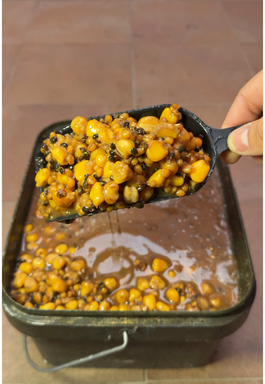 Maíz, trigo y cañamón. 🌽 Uno de mis cebados favoritos. Atrayente y nutritivo a la vez. ✌🏻 Añadimos a un cubo hermético Maíz, trigo, cañamón, azúcar, csl y agua filtrada.  Después de 14 días cocemos 40 minutos y dejamos 12 horas en reposo.  Y ya lo tendríamos listo para usar 👌🏻👌🏻 #CarpFishing #CarpFishingLife #Carp #CarpBait #Boilies #PVA #MethodFeeder #BigCarp #CarpSession #CarpRig #Carper #Carping #Spod #Baitboat #CarpFishingAddict