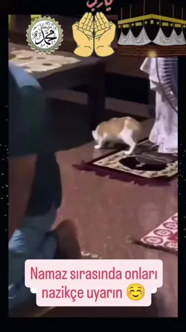 #öneçıkart #fypシ #tiktokviral 