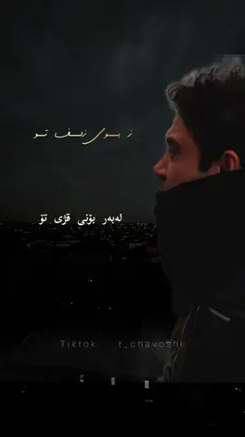چاوشی تاکە ڕێگایە بۆ دەربڕینی هەستەکان..🖤#fyp #foryou #explore #viralvideo #mohsenchavoshi 