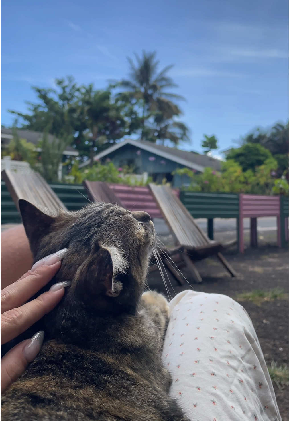 dreaming of the garden island🌺