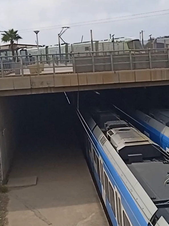 2 Stadlerb flirts and one tramway all arriving at Caroubier train station in the same time.#algeria #rbe541 #RBe541 #caroubier #train 