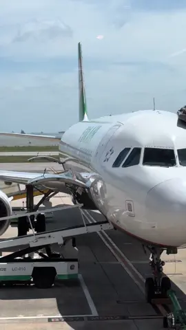 Videonya boleh kalian ambil buat bahan konten di tiktok,ig,fb/wa tidak usah minta ijin sudah saya ijini🫶🫶🫶 #mentahanvideo #mentahan #original #kinmenairport #taiwan 