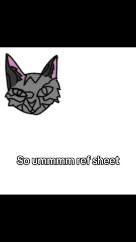 Still making more btw… #dontletthisflop #fyp #warriorcats #viral #fypシ 