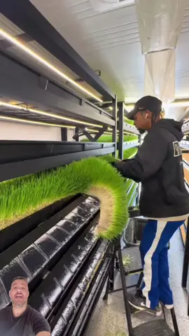 🌱 A tecnologia que está revolucionando o campo nos EUA! Empreendedores inteligentes estão produzindo o próprio pasto dentro de contêineres — sem chuva, sem trator e sem depender do tempo. Essa invenção transforma grãos baratos em ração fresca todos os dias, reduz custos e mantém o gado forte o ano inteiro. (O sistema perfeito pra quem ama inovação e quer empreender no agro sem complicação.) 🎥 Créditos:@farmboxfoods 📲 Me segue: @laertejr_mkt #Brasil #empreendedorbrasil #negóciopróprio #inovação #negócioscriativos         