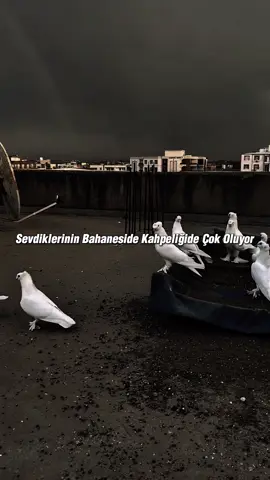 Racon Sözleri Yazın 🦅 #keşfet #storylikvideolar #raconstory #raconsözler #raconsözleri 