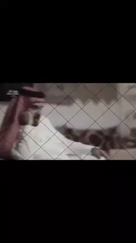 `: عجزت اتخطى هذا الڪلام