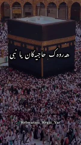 #میهران_سنەیی #هەروەک_حاجیەکان #اللهم_صل_على_نبينا_محمد #foryoupage #fyp 