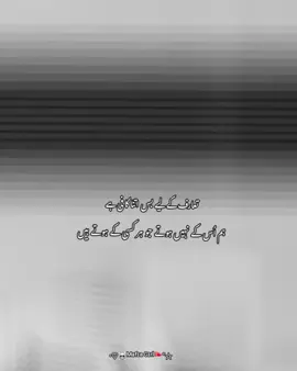 تعارف کے لیے بس اتنا کافی ہے ہم اُس کے نہیں ہوتے جو ہر کسی کے ہوتے ہیں attitude #attitudegirl  #attitudestatus  #attitudelines  #attitudestatuslinesforgirls  #foryoupage   
