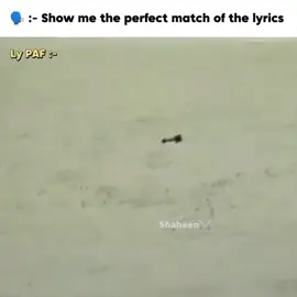 Perfect match lyrics 🇵🇰🦅 #pakistanairforce #attacks #Afghanistan #PakAfghanBorder #Terror 