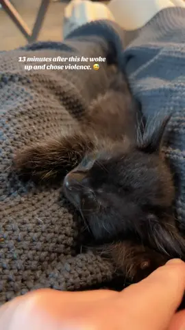 The tiniest #toebeans & #purr in the land. 🐈‍⬛♥️