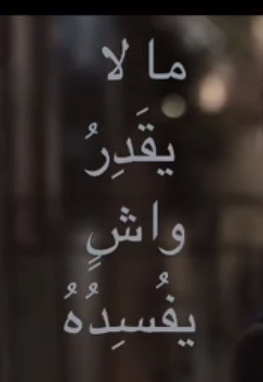 ما لا يقدر واشٍ يفسده #badihabouchakra #maguyboughosn #fyp #foryoupage #أنغام 