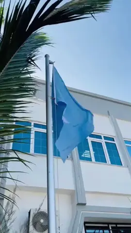 HAMBALYO MAALINTA CALANKA SOOMAALIYEED. Waxaan hawada u marinayaa Shacabka Soomaaliyeed maalinta Calanka oo maantay 0o kale October 12, 1954🇸🇴❤️🩸 Hambalyo mar labaad #somalia #somalia #viralvideo #viraltiktok #calanka@hajjara_🇸🇴 