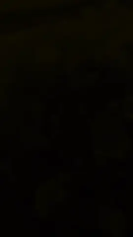 #CapCut 