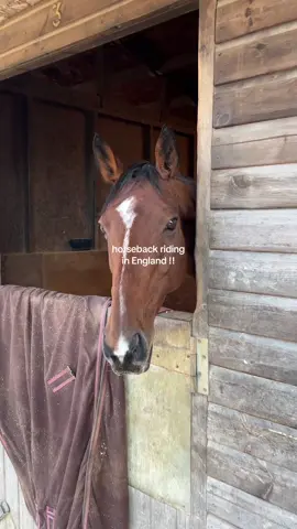 bucket list item, check ♥️ I am so so so grateful to be here 🥲🥲 #horsebackriding #england #cotswolds #minivlog @Sam Edelman 