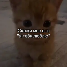 @𝒜𝓃𝒶𝓈𝓉𝒶𝓈𝒾𝒶❤️^᪲᪲᪲ @4:30 @🌺 @МБЭЭЧ 💘 