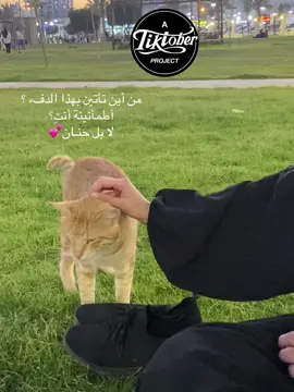 #fyp #مالي_خلق_احط_هاشتاقات #الشعب_الصيني_ماله_حل😂😂 #ليبيا #مصراته #misrata #random 