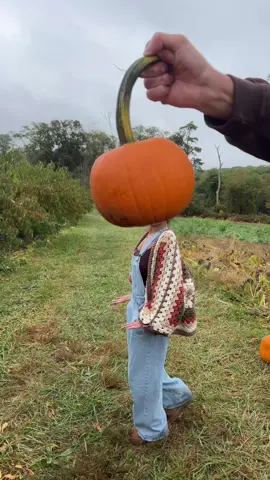 we didn’t finish it.
