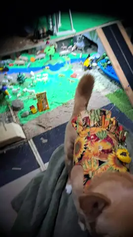 Live: Eve: 10/11/25: The Princess says, 