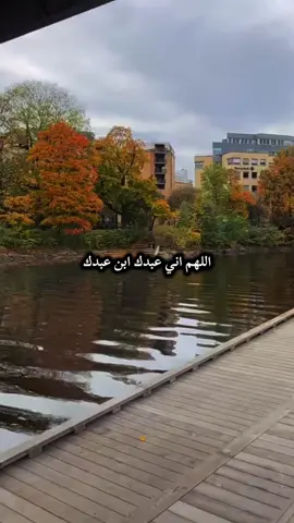 #لا_اله_الا_الله #استغفر_الله_العظيم_من_كل_ذنب_عظيم #اللهم_اغفرلي_واهدني_وارزقني_وعافني #ياحي_ياقيوم_برحمتك_استغيث_اصلح_شأني_كله #ربي_لما_أنزلت_الي_من_خير_فقير 