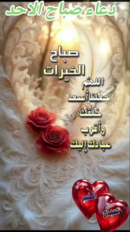 #صبحكم_الله_بالخير_والعافيه🌸🌿 #صبحكم الله بالعافية والسعادة وراحة البال والأمان وحفظ الرحمن#صباحكم_معطر_بذكر_الله💚🌹🌿🌷 #صباح أستعيذ فيه ربي من كل ضر وأسأله الخير والتوفيق والنجاح في كل درب لي ولكم#🌹 
