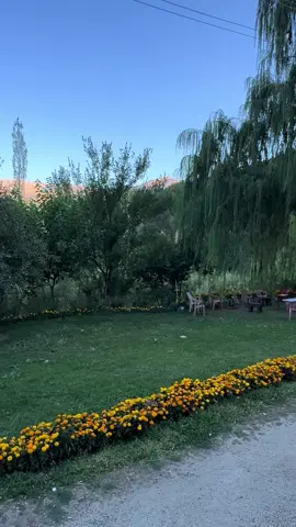 #şemdinli #şawirte #amed #colemerg 