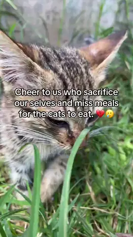 #😿🙏🤲 please help me make it 