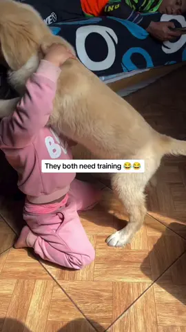 They both need training 😂😂#funny #funnyvideos #fyp #fail #dog 