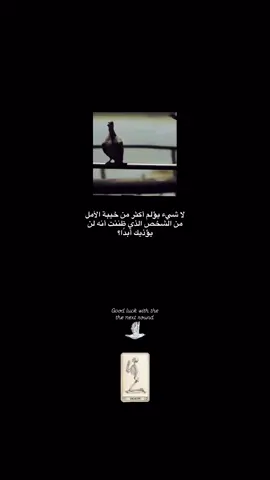 ‏الأقربون طعناتهم أخطر فهي تأتي من مسافات قصيرة. - تشي جيفارا#كافكا #WhereToEat #ترند 