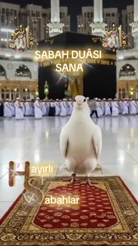 بِسْــــــــــــــــــمِ اللهِ الرَحْمٰنِ الرَحِيم ┏━━┳┓┏┓┏━━┳┓┏┓ ┃┏┓┃┃┃┃┃┏┓┃┗┛┃ ┃┏┓┃┗┫┗┫┏┓┃┏┓┃ ┗┛┗┻━┻━┻┛┗┻┛┗┛ ☝lâillahe illallah ﷽AMÎN ﷽ 🤲 YA RABBEL ALEMÎNﷲ🕋🕌🤲AMİN🤲🕌🕋 ┇┇┇🕋🕌🤲AMİN🤲 🕋#kesfett #kesfetteyizzzzz #kesfettürkiye #fypvıraltıktok #viral , viral, viral, viral, viral, duâ, duâ, duâ, duâ, duâ