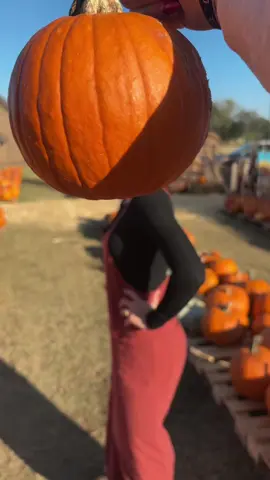 pumpkin head #fall #bsf #pictures #pumpkin #jesuslovesyou @tay💌 