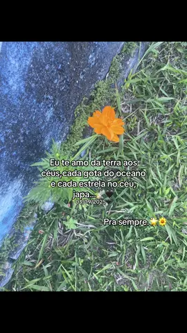 Pra sempre japa…🖤 #fy #vaiprofy #luto #morte #foryou 