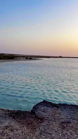 #اعلانات_نصوفا #رابغ #بحر_رابغ #قف_حنين #نصوفا 