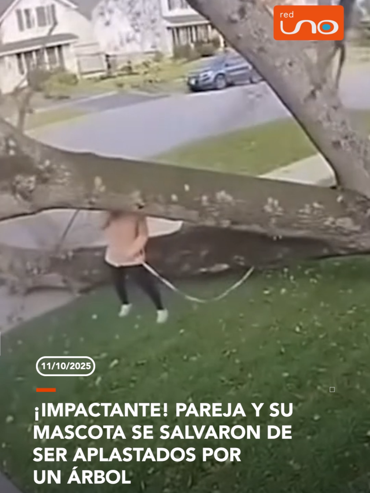 #Internacional | De milagro! Una pareja y su perrito se salvaron de m0rir aplastados por un árbol que cayó justo donde estaban. El impactante momento quedó grabado en video. ▶️ Más información en: www.reduno.com.bo #RedUno #RedUnoDigital #Notivisión #Viral #Noticias #Tendencias