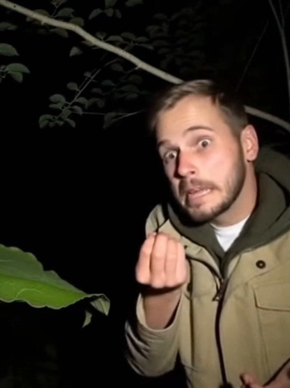 ХАХАХАЗЗАЖАЖАЖ КОТО И ГУСЕНИЦА ДИПЛОМ ПОЛУЧИЛИ #рекомендации #meow #лайк #рекомендации #лайк 