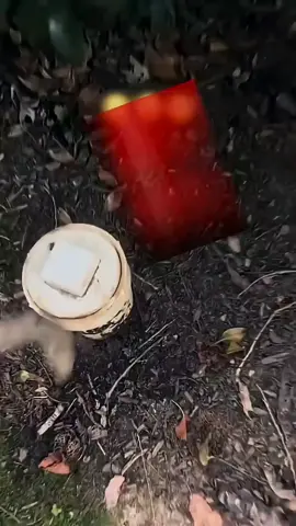 viu isso.... #curiosidades #incrivel #impresionante #viral #monetizedviews 