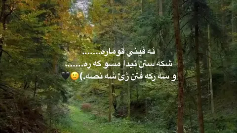 1:15🖤#hariwan24 #viral #pov #pyf #rasty_lak 