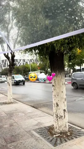 Haw !🥺.                                                      #setif #سطيف_العالي_ٱخاالي #Love #like #fyppppppppppppppppppppppp 