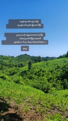 #nocaption #fppppppppppppppppppp #views #crdစာသား 