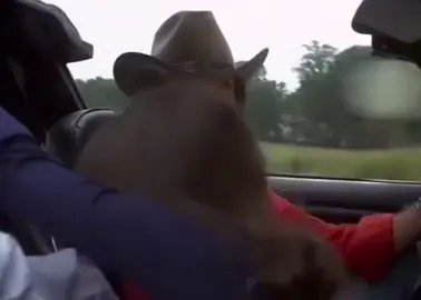 Im thankful to have this...  #Relationship #wife #rideordie #smokeyandthebandit 