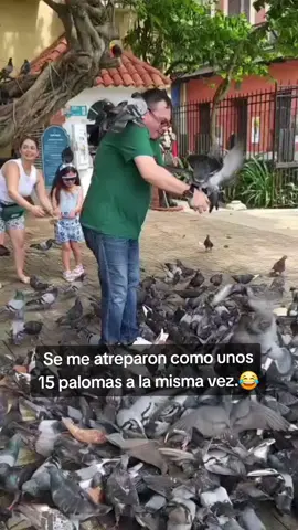 #paratiiiiiiiiiiiiiiiiiiiiiiiiiiiiiii #maestrosdetiktok #viejosanjuan #maestrosdepuertorico #puertoricotiktok 