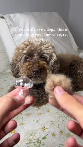 Every dog owner should have this before it’s too late ❤️🐾 #dog #dogowner #dogmom #petloss #petmemorial 