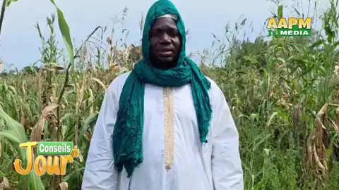 Cheick Abdoul Aziz Aguib Aziz , donne des éclaircissements sur les actualités des guérisseurs écoute attentivement les conseils #aapmtvmedia #tiktokburkinafaso🇧🇫🇧🇫🇧🇫🇧🇫 #tiktikmonde♥️ #bamakomali🇲🇱 