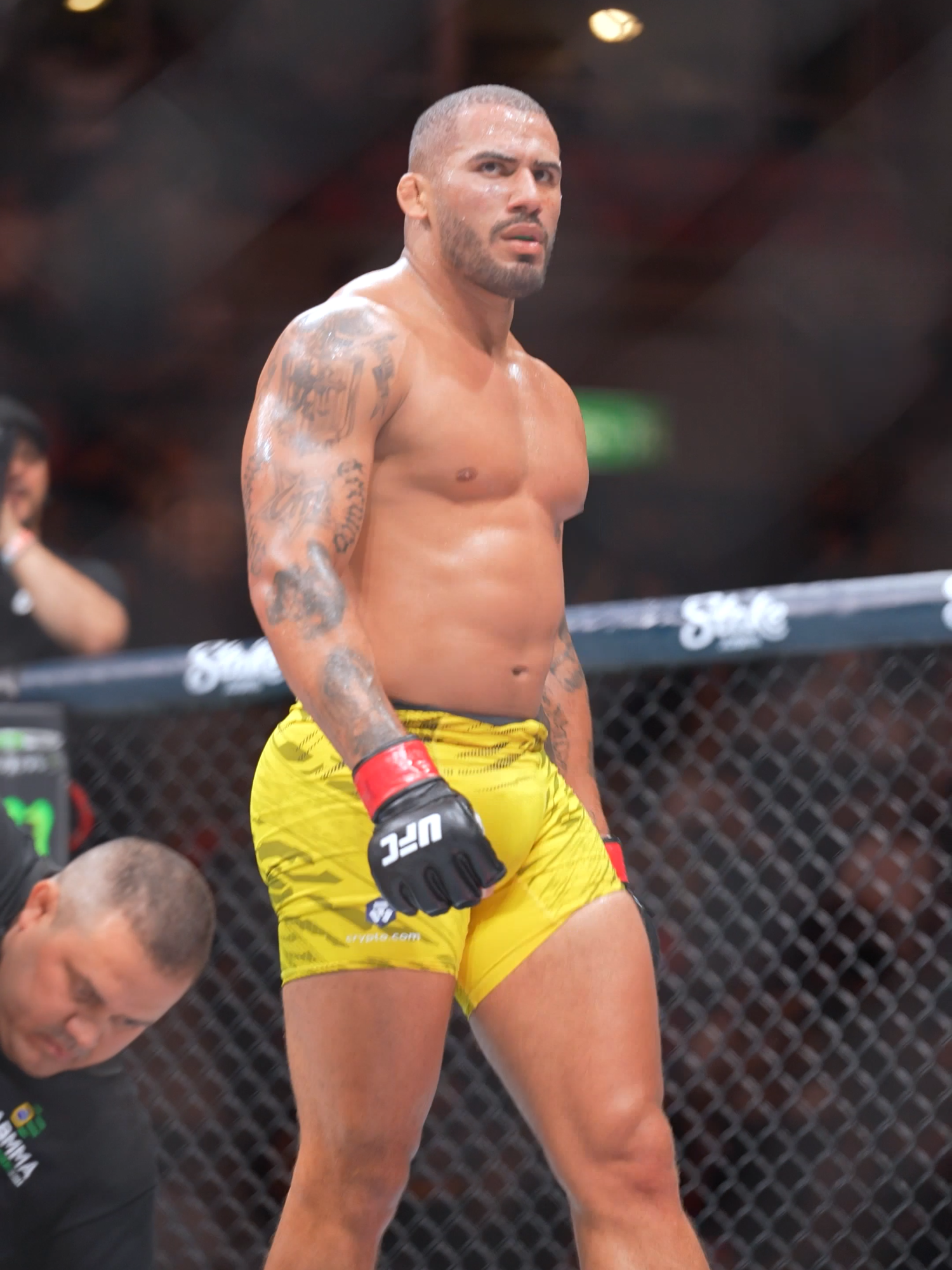 VITOR PETRINO BELONGS AT HEAVYWEIGHT 😤 #UFC #mma #vitorpetrino