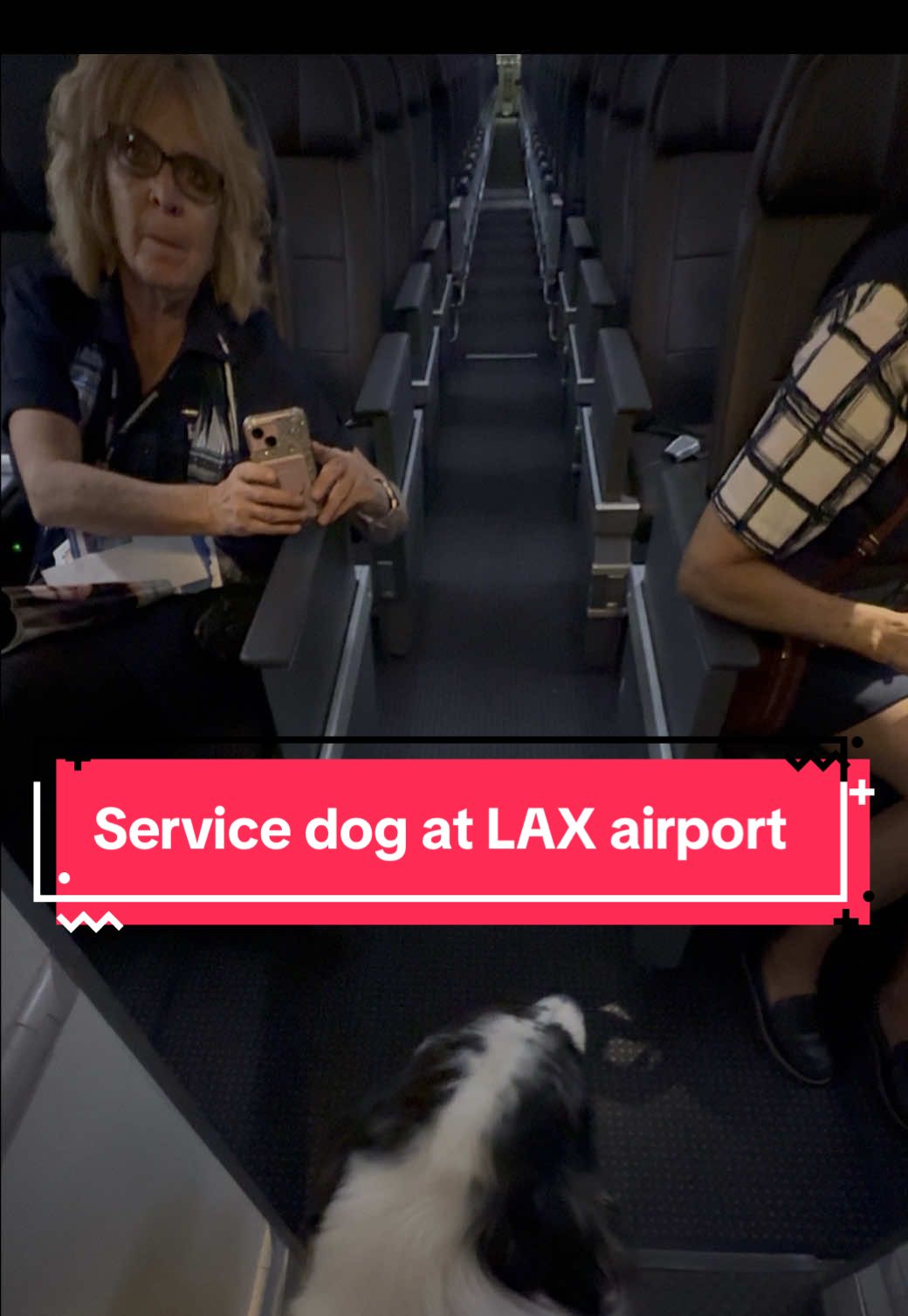 it takes a lot more energy than you would think to simply ride a plane with a service animal and chronic illnesses — we do our best though. Echo is a great help. He alerts, he’s calm, ignores other dogs, curls up under the seat, and rides quietly. I always tell people, if you want a service dog for your disability, prepare to suddenly seem approachable. I don’t mind talking but some times are harder than others #TravelingWithDisability #ServiceDogJourney #AccessibleTravel #ChronicIllnessLife 