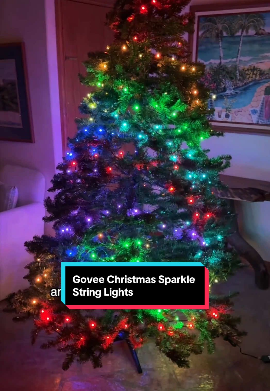 These Govee Christmas Sparkle String Lights lets you create a unique ambiance with endless tree lighting options. Check them out bit .ly/4mdgORm amzn .to/3KhGVck#GoveeChristmasLights #chistmastree #treelights #christmas #goveepartner